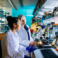students in lab