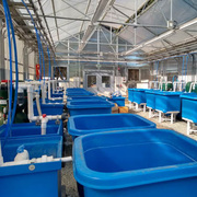 Aquaculture facility