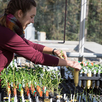 student in greenhouse