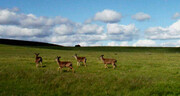 campus-preserve-cropped